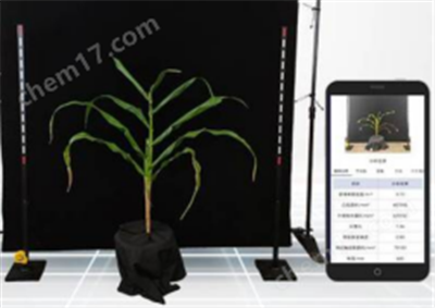 玉米株型檢測系統(tǒng)